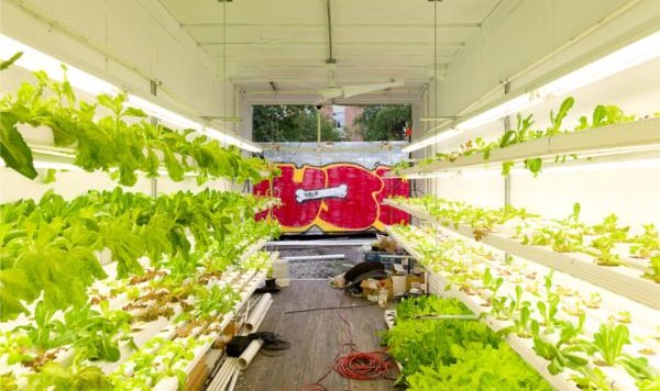 hydroponic-retrofits-shipping-container-urban farming