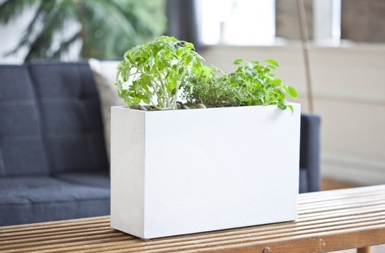 modern-sprout-indoor-gardening-solution