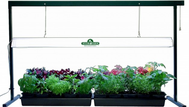 artifical-lighting-indoor-gardening-plant-health