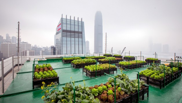 urban-farming-maximizes-city-space