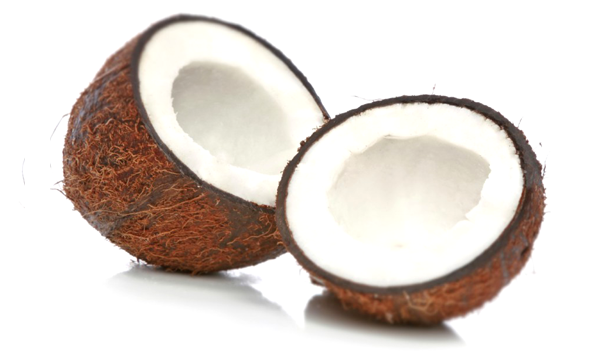 coconut-coir-soilless-growing-medium