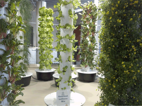 OHare-International-Airport-aeroponic-vertical-garden