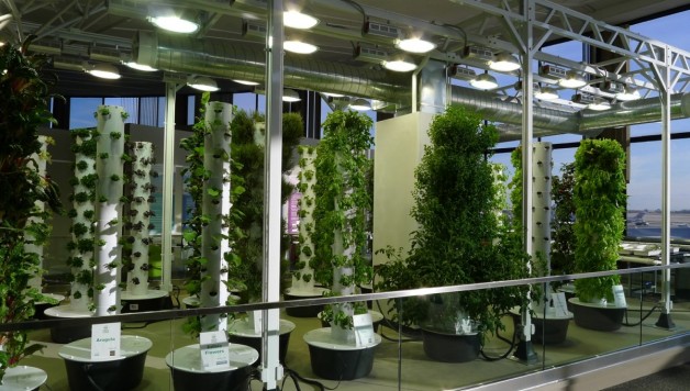 Indoor-Grow-Lights-Vertical-Gardening