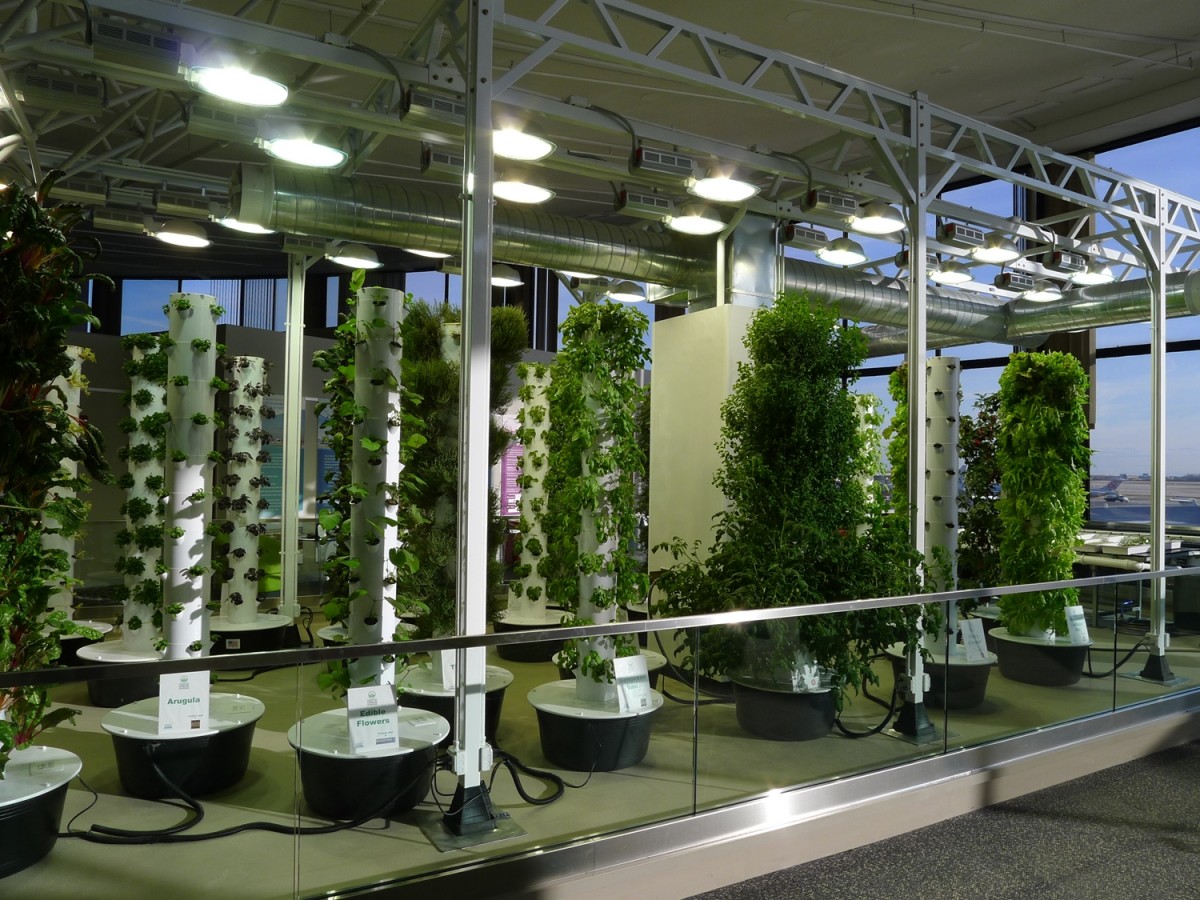 The Science Of Grow Lamps | PowerHouse Growers