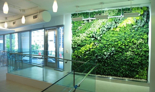 living-walls-office-building-indoor-gardening-service