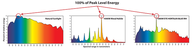 Hps Light Spectrum Chart