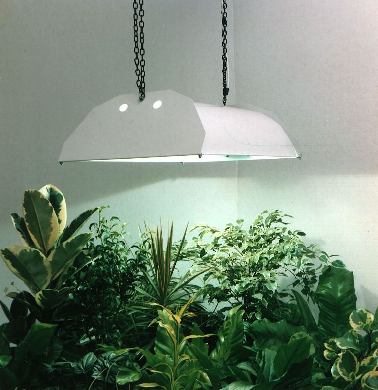 Brighten Up Your Indoor Garden Grow Lights