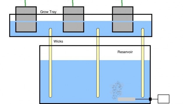 Hydroponic-Wick-System-for-beginners