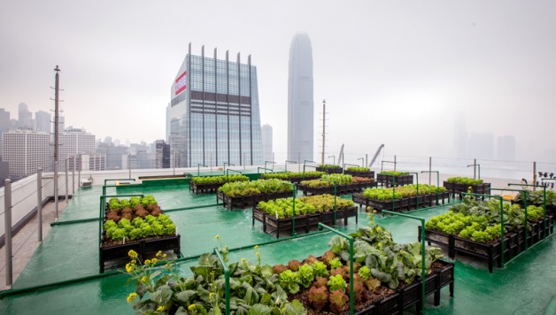 Benefits Of Urban Farming