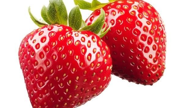 why-hydroponic-plants-grow-faster-strawberry-yields