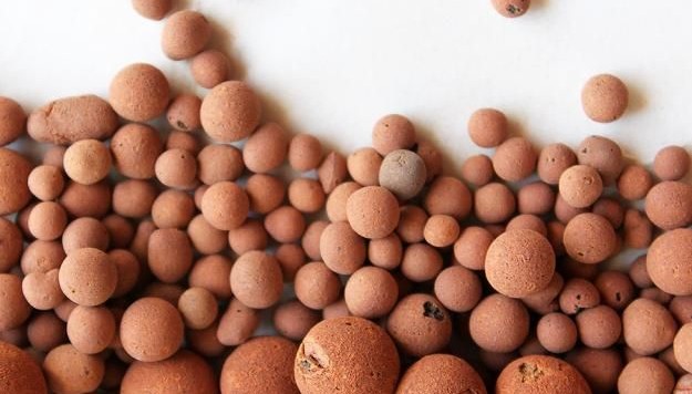 benefits-clay-pebbles-as-grow-medium