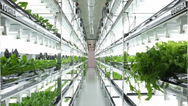 toshiba-lettuce-factory-building-integrated-agriculture