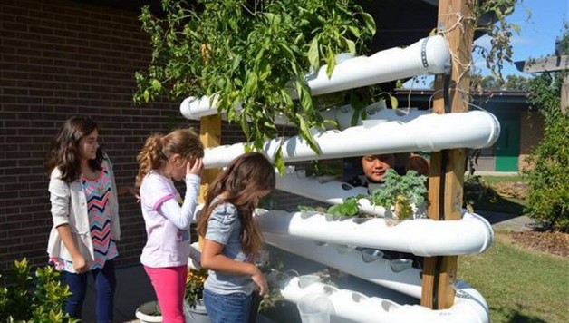 Youth hydroponic education. Image via Paula Shrum